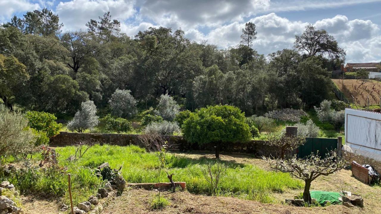 Casalinho In Portugal Country House Tomar Extérieur photo